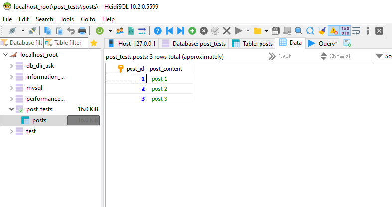 Screenshot from Heidi SQL after execution above query - inserted data