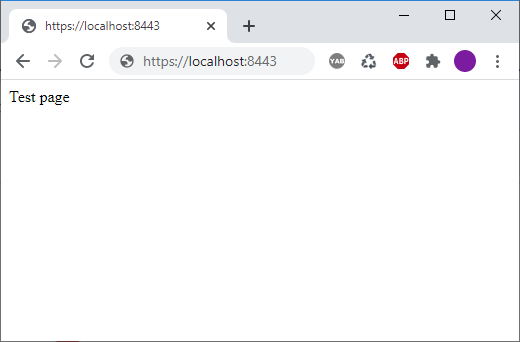 https web page loaded on localhost - Google Chrome Browser