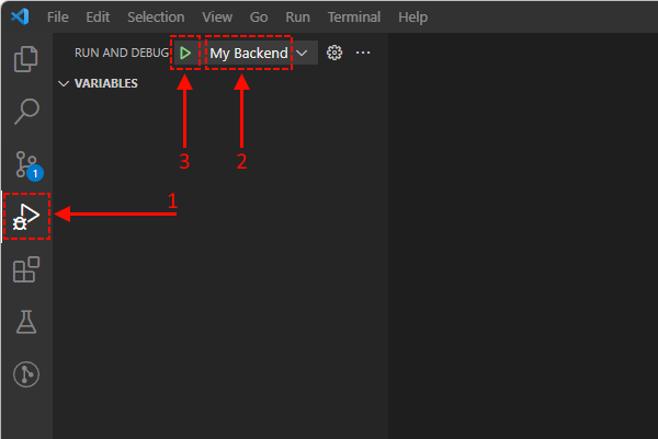 Running debugger in VS Code.