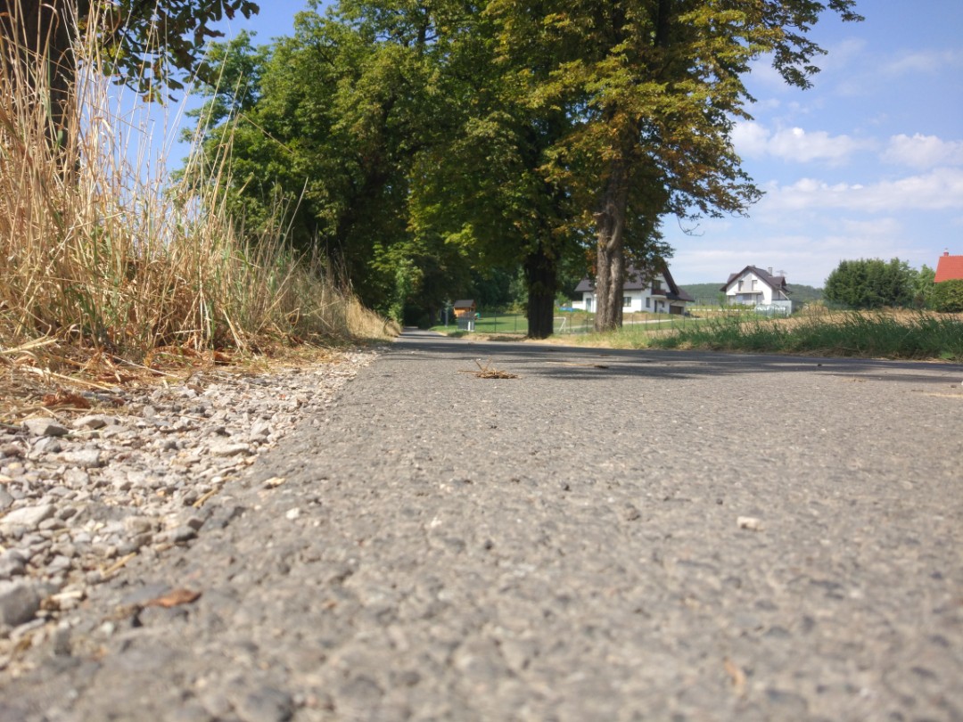 Road during summer bicycle trip